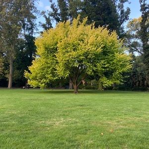 Meet your Posher, Amira